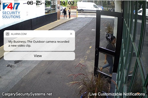Calgary Security Systems - Live Customizable Notifications