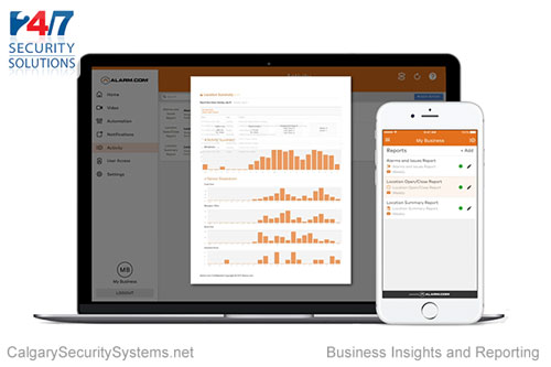 Small Business Insights and Reporting